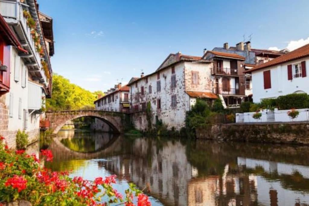 Villa Bergerie Geldi Leku à Saint-Jean-le-Vieux  Extérieur photo