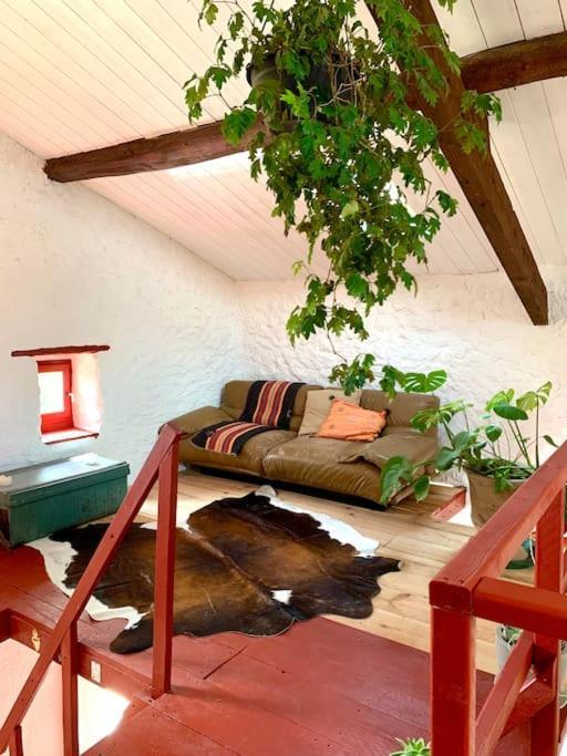Villa Bergerie Geldi Leku à Saint-Jean-le-Vieux  Extérieur photo